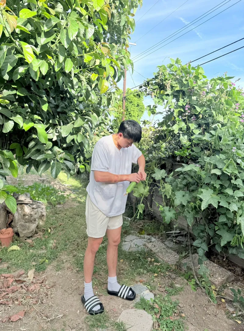 必一运动-留洋球员林葳更新社媒分享生活图集并配文：近期